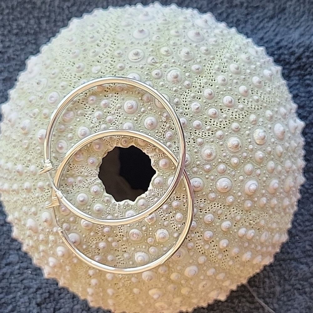 Silver hoop earrings!